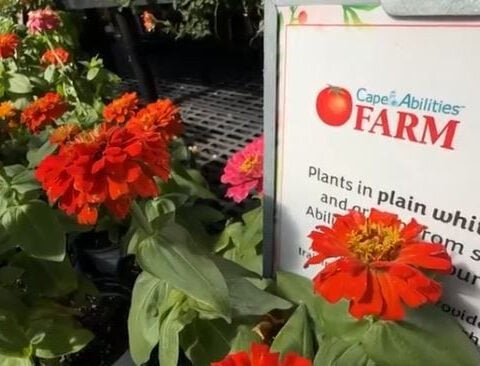 Farm offers 20 years of opportunity for adults with disabilities