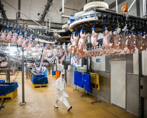 Poland, Hungary's foreign worker curbs create headache for business