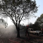 Spain, France battle wildfires as heat grips southern Europe