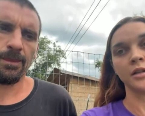 Emu chased down street, mauled to death by 2 dogs, family says