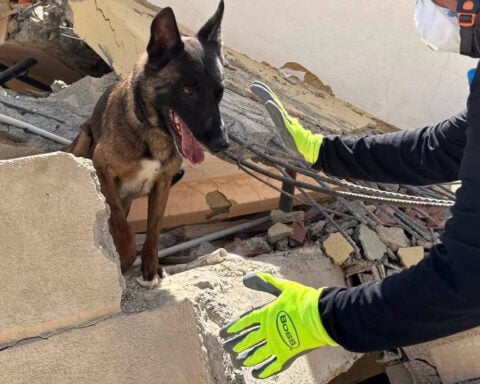 Deputy recounts harrowing Venezuela K9 rescue mission