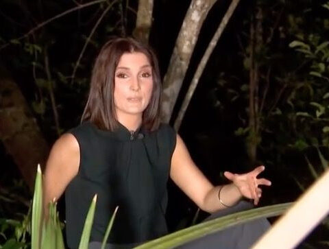 Multiple Mount Dora monkey sightings prompt advisory