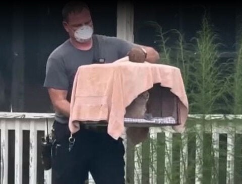 Cages, filth, feces: 92 cats and dogs rescued from Florida home, 5 owners identified