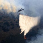 Arsonists tied flaming rags to cats to spark wildfires in southern Italy, officials say