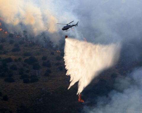 How arsonists used cats to spread Italy’s wildfires