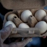 Poultry firm recalls nearly 1.6 million dozen eggs over potential salmonella, US FDA says