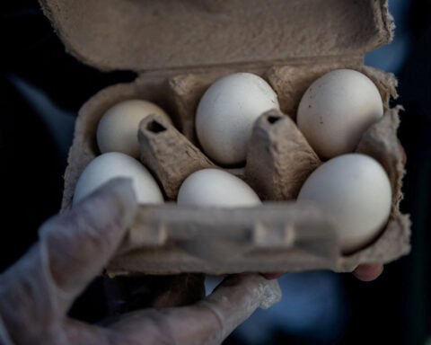 Poultry firm recalls nearly 1.6 million dozen eggs over salmonella risk, FDA says