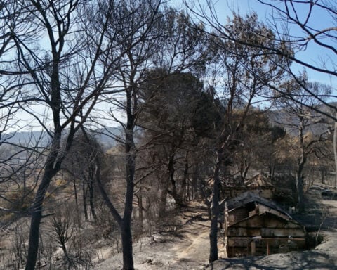 Spain, France battle wildfires as intense heat grips Southern Europe