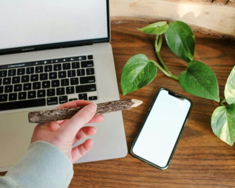There’s a business case for companies to embrace sustainability – if it’s pitched the right way