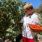 9-year-old trades screen time for gardening, builds successful business