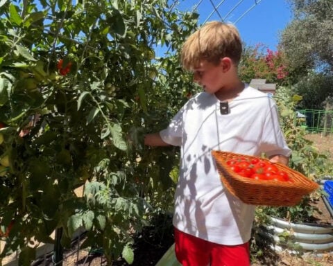 9-year-old trades screen time for gardening, builds successful business