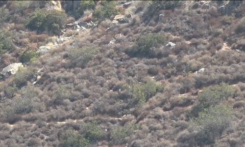 Flight medic dangles from helicopter rope in dramatic rescue