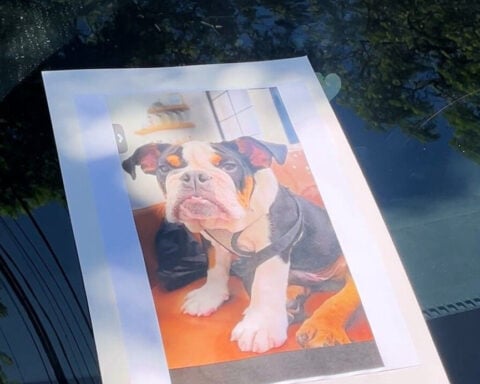 Dog's drowning at daycare sparks protest