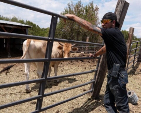 Neighbors recount coming together to save animals during Aspen Acres Fire evacuation