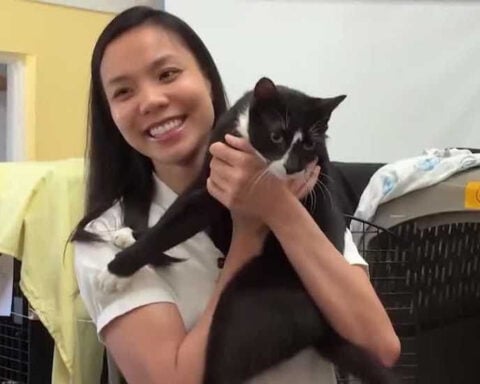 Woman reunited with missing cat after 92 animals rescued from home