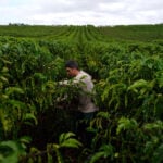 Around 2,000 Brazilian products exempt from both recent U.S. tariffs, minister says