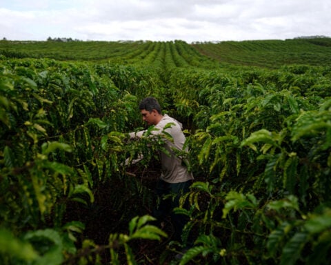 Around 2,000 Brazilian products exempt from both recent U.S. tariffs, minister says