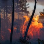 Wildfires in Spain and southern France force tens of thousands to evacuate