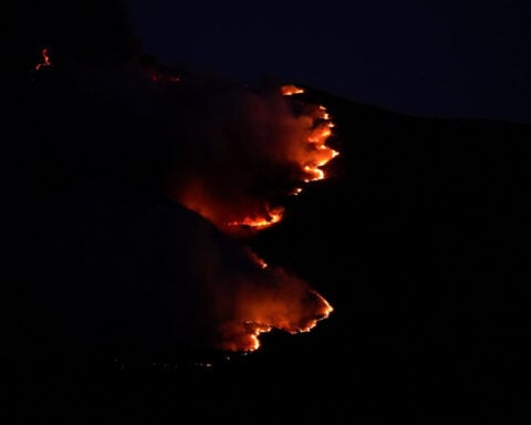 Spain declares national emergency over wildfires near Madrid and in Avila
