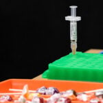 Measles cases in US hit highest level since 1991, CDC data shows