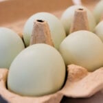 Salmonella outbreak tied to eggs has sickened 98 people since November