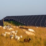 Trump administration admits it canceled clean-energy grants in states that voted for Kamala Harris