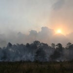Wildfires in France drive 250,000 people from their homes, creep toward wine city