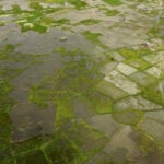 Africa facing $10-$20 billion economic hit from 'super' El Niño, AfDB climate chief warns