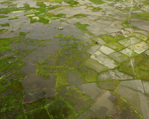 Africa facing $10-$20 billion economic hit from 'super' El Niño, AfDB climate chief warns
