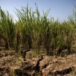 Emerging markets stare at inflation risks as powerful El Niño looms