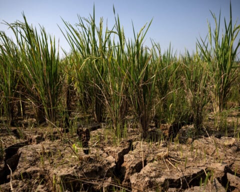 Emerging markets stare at inflation risks as powerful El Niño looms