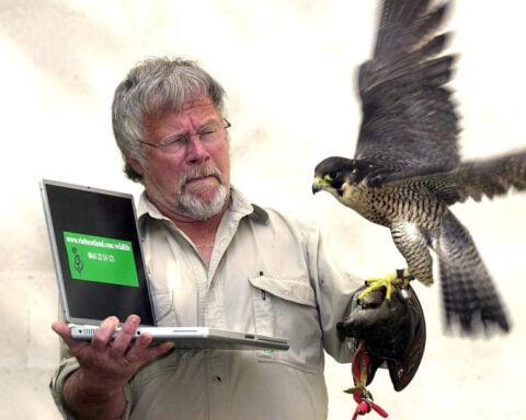 Bill Oddie, wildlife presenter and star of British comedy series 'The Goodies,' dies at 85