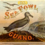 Bird droppings were a foundation of modern agriculture and American empire