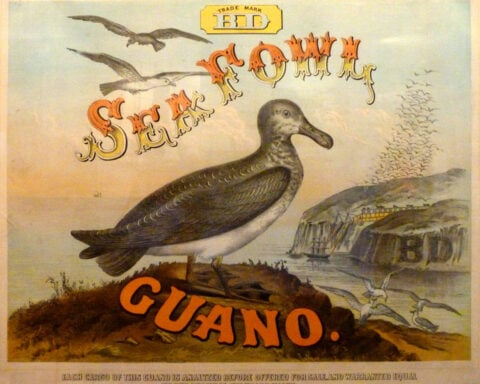 Bird droppings were a foundation of modern agriculture and American empire