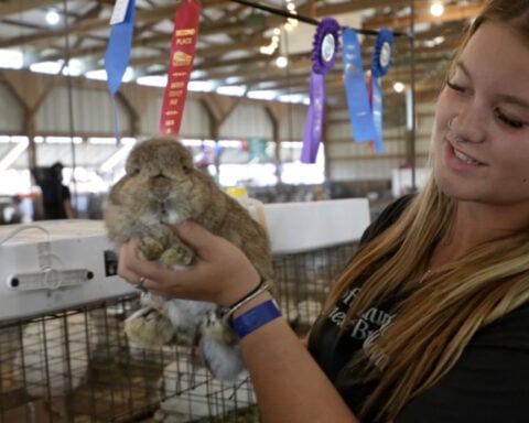 At the Butler County Fair, one rabbit changed this 19-year-old's life