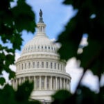 Georgia teen pleads guilty to gun charge for running onto Capitol grounds with loaded shotgun