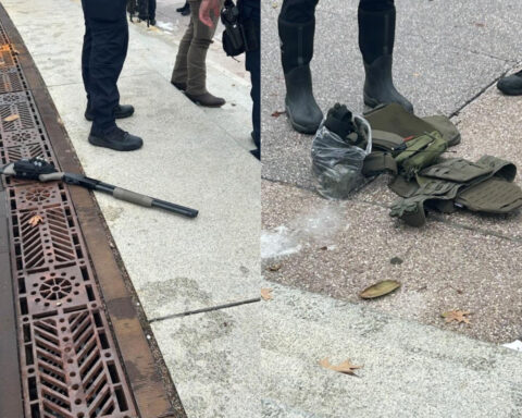 Georgia teen pleads guilty to gun charge for running onto Capitol grounds with loaded shotgun