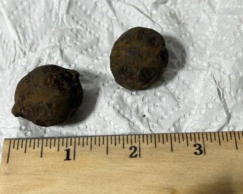 TSA finds stolen cannonballs in checked baggage