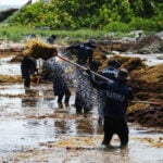 Record seaweed blankets Mexico's Caribbean coast, threatening tourism and the environment