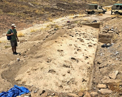 ‘A moment in time’: Fossil footprints shed new light on the extinct ‘Nutcracker Man’