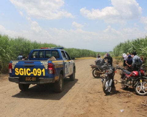 Guatemalan man deported from US and wife found dead in sugar field, baby alive beside them