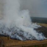 Wildfires are more extreme in Europe and North America, but global burning is oddly decreasing