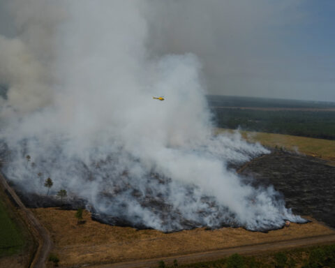 Wildfires are more extreme in Europe and North America, but global burning is oddly decreasing