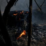 Fire crews keep blazes near Bordeaux under control as heatwave picks up