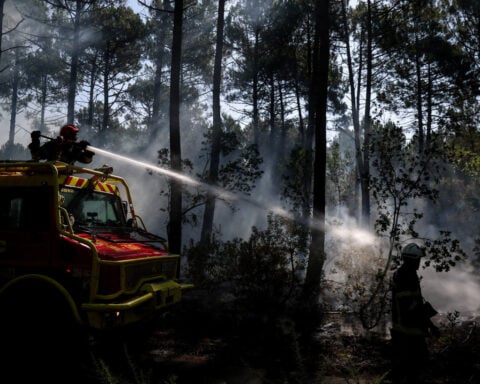 Wildfire response must evolve to keep pace with climate change, EU says