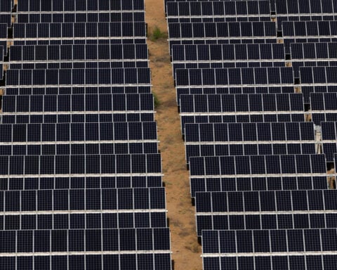 China regulator to meet solar industry on curbing competition, local media reports