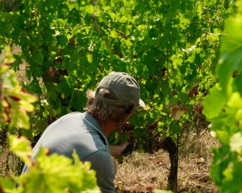 Wildfires near Bordeaux bring more troubles to France's wine industry