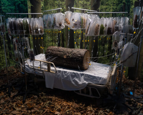 How artists transformed a former hospital in Los Angeles to examine human emotions