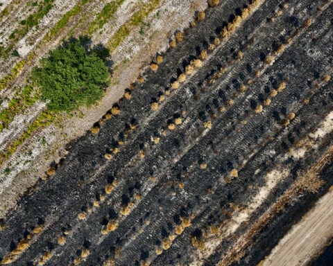 Three Greek firefighters killed as wildfires strike further east in Europe