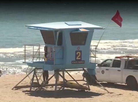 Trump invites heroic teen lifeguard to White House after Santa Cruz rescue